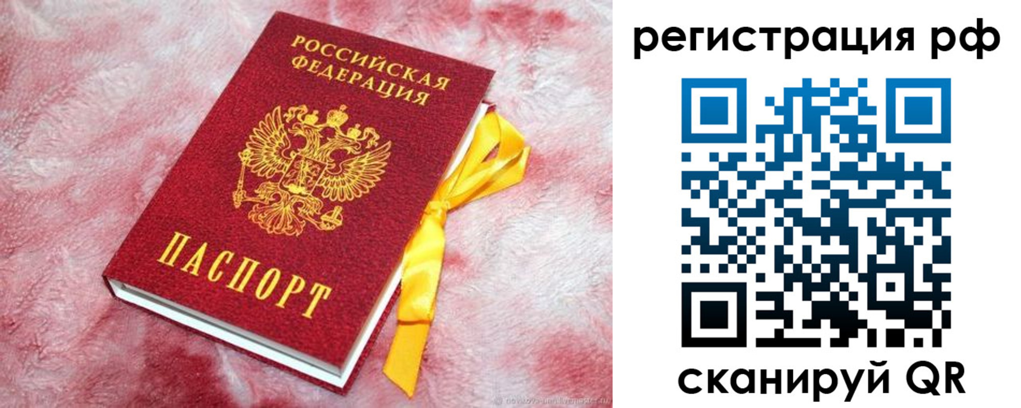 прописка в Светогорске